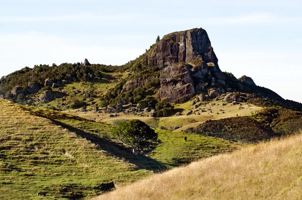 Landscape of Northland New Zealand. — Stock Photo, Image