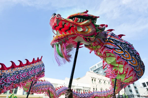 Wellington Chinees Nieuwjaar slang — Stockfoto