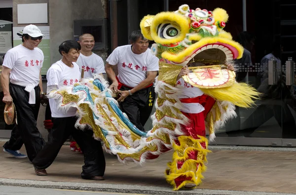 ウェリントンの中国の新年のヘビ — ストック写真