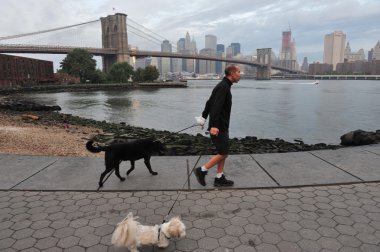 manhattan new York'ta Brooklyn Köprüsü