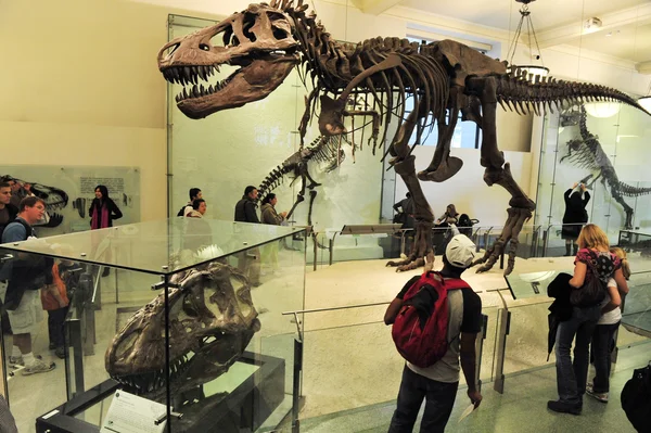 Museo Americano de Historia Natural — Foto de Stock