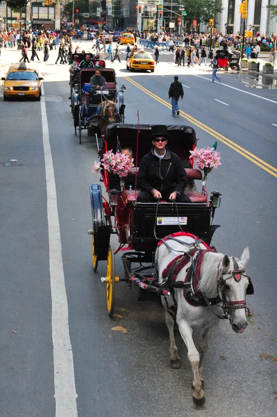 Central Park - New York — Photo