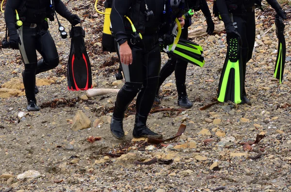 Buceo — Foto de Stock