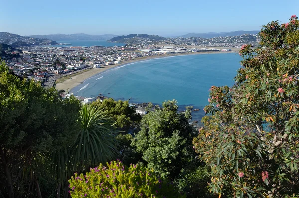 Panoráma města Wellington — Stock fotografie
