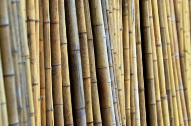 Bambu duvar