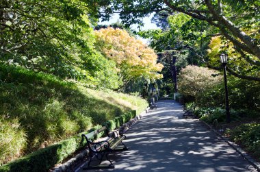 Wellington Botanik Bahçesi