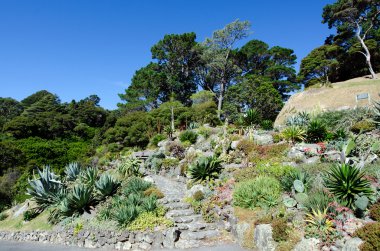 Wellington Botanik Bahçesi