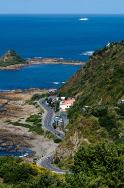Wellington Cityscape
