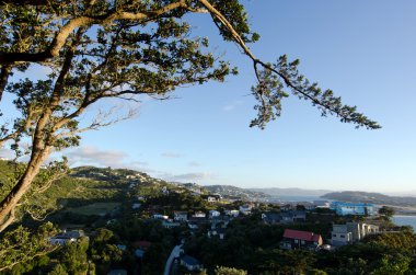 Wellington Cityscape