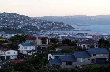 Wellington Cityscape