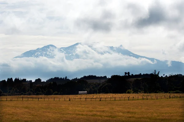 Гора Руапеху — стоковое фото