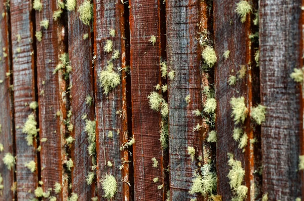 Rustic old rough texture fence — Stock Photo, Image