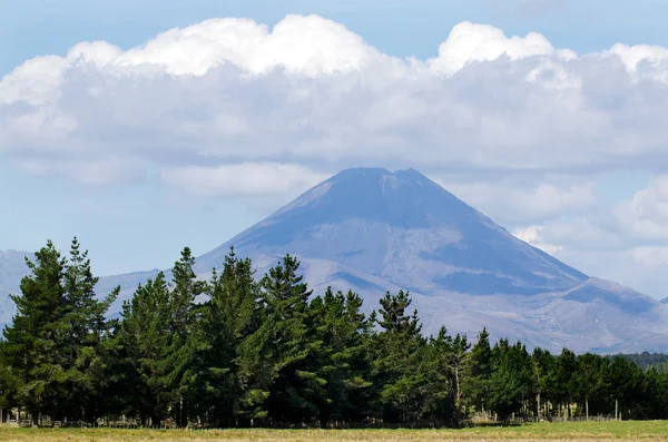 Mt. Ngauruhoe. — Foto de Stock