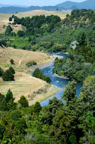 Taumarunui řeka — Stock fotografie