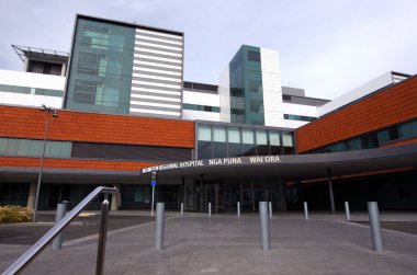 Wellington Cityscape