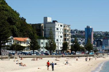 Wellington Cityscape
