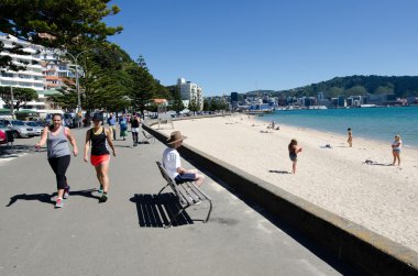 Wellington Cityscape