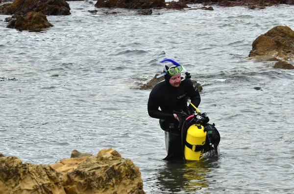 Buceo —  Fotos de Stock