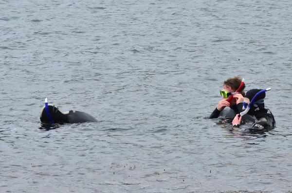 Buceo — Foto de Stock