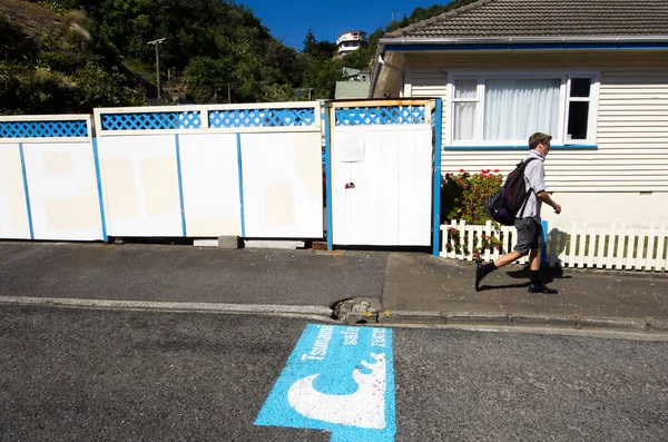 Wellington stadsgezicht — Stockfoto