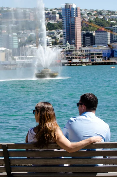 Paysage urbain de Wellington — Photo