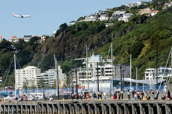 Wellington waterkant — Stockfoto
