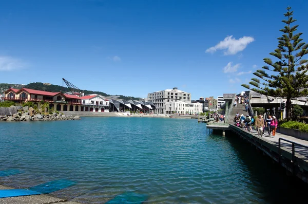 Wellington waterfront lagoon — Stok fotoğraf