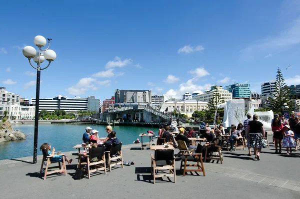 Laguna frente al mar Wellington —  Fotos de Stock