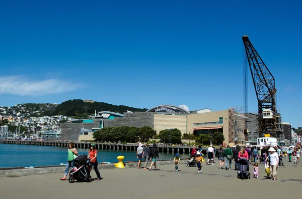 Wellington waterfront — Stock Photo, Image