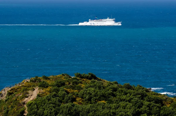 Veerboot naar wellington — Stockfoto