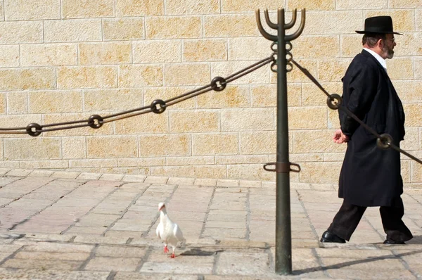 Το kotel - Ισραήλ — Φωτογραφία Αρχείου