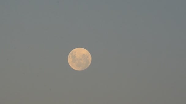 Luna piena nel cielo notturno — Video Stock