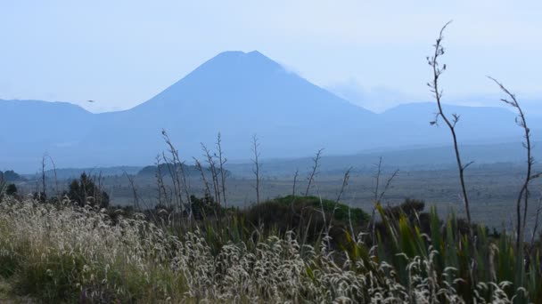 Paisaje de montaña — Vídeo de stock