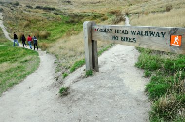 Godley baş geçit - Yeni Zelanda