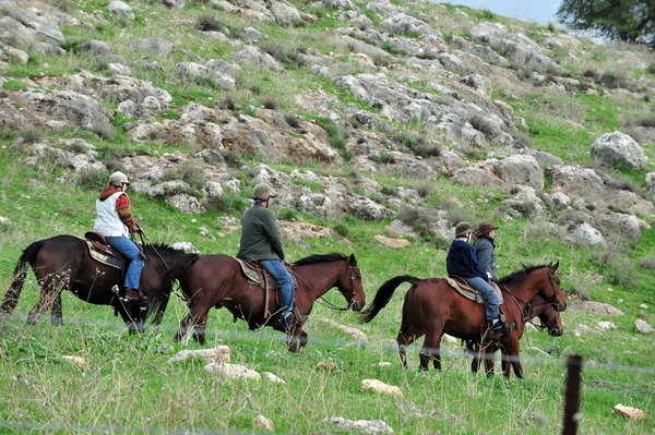 Golanische Höhen - israel — Stockfoto