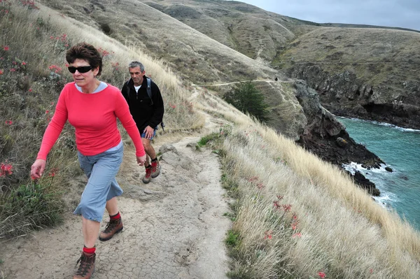 Godley Head Walkway - New Zealand — Stock Photo, Image