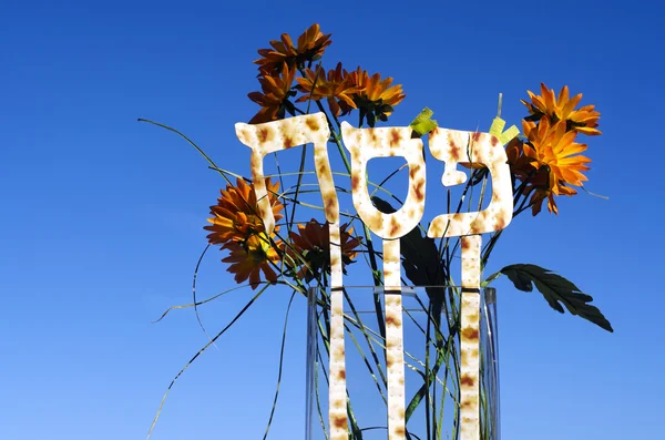 Yahudilerin hamursuz bayramı — Stok fotoğraf