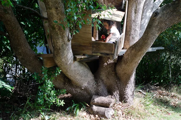 Casa sull'albero — Foto Stock