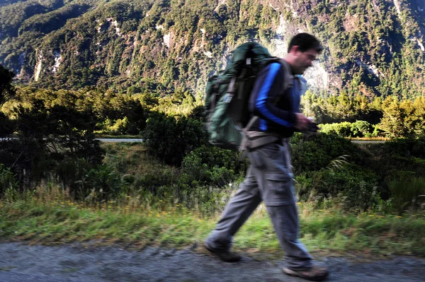 Fiordland New Zealand — Stock Photo, Image