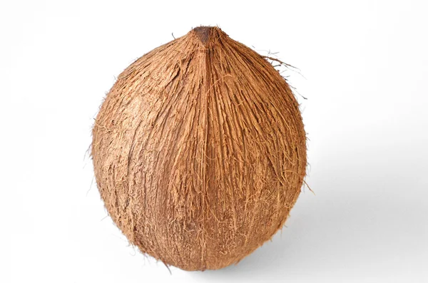 Kokos - tropisk frukt — Stockfoto