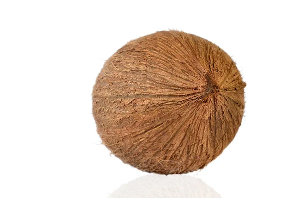 Kokos - owoce tropikalne — Zdjęcie stockowe
