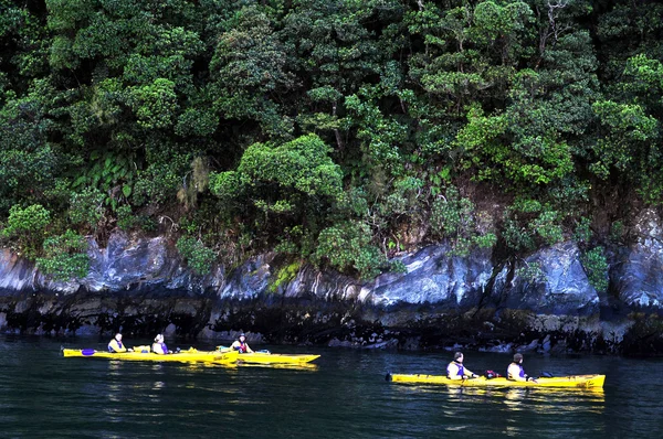 Fiordland New Zealand — Stock Photo, Image