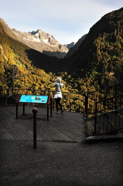 Fiordland Nueva Zelanda —  Fotos de Stock