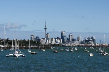 Auckland manzarası