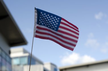 Birleşik Devletler Bayrağı