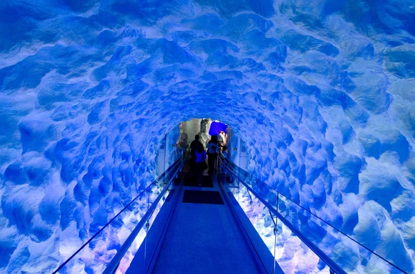 A jég alagút Kelly Tarltons tengeri világ — Stock Fotó