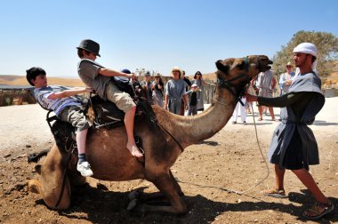 Camel Ride and Desert Activities in the Judean Desert Israel clipart