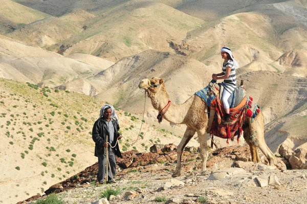 Passeio de camelo e atividades no deserto da Judeia Israel — Fotografia de Stock