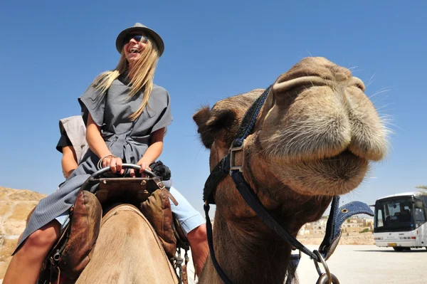 Przejechać się na wielbłądzie i pustyni w Judei pustynia Izraela — Zdjęcie stockowe