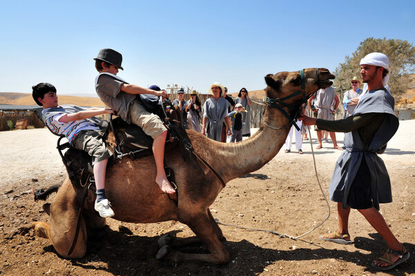 Camel Ride and Desert Activities in the Judean Desert Israel